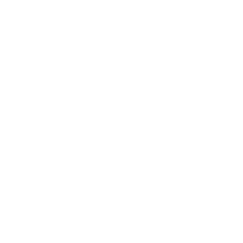 SWANDOR HOTELS